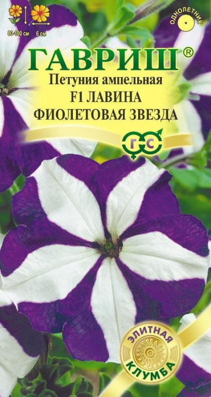 Лавина Фиолетовая звезда Ц(Г)