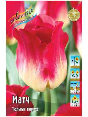 Матч 11/12 (триумф) 7шт