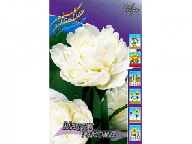 Маунт Такома 11/12 (махр.поздн) 7шт