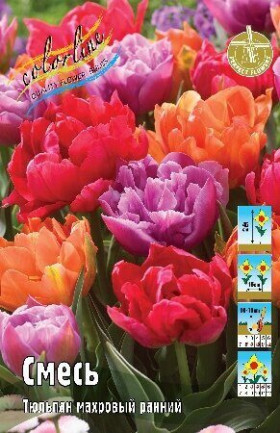 Махровые Ранние смесь 11/12 (махр.ранн.) 7шт