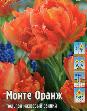 Монте Оранж 11/12 (махр.ранн.) 7шт