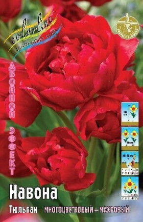 Навона 11/12 (2й эффект) 7шт