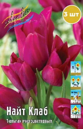 Найт Клаб 11/12 (мнгцв.) 7шт