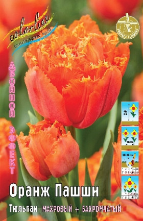 Оранж Пашшн 11/12 (2й эффект) 7шт