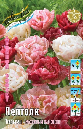 Пептолк 11/12 (2й эффект) 7шт