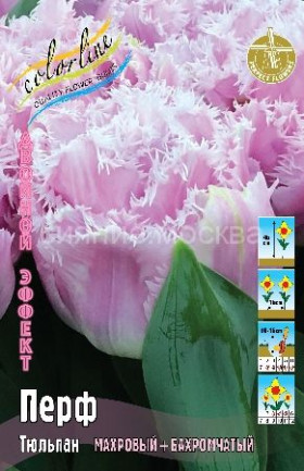 Перф 11/12 (2й эффект) 5шт