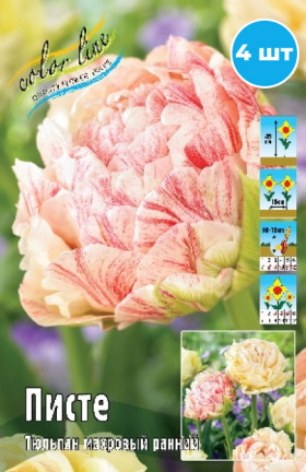 Писте 11/12 (махр.ранн.) 5шт