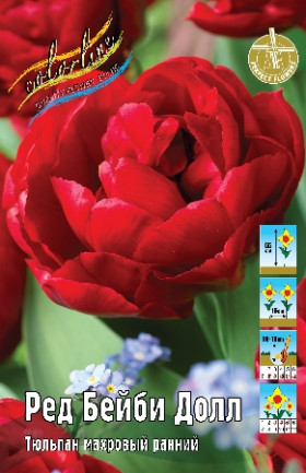 Ред Бейби Долл 11/12 (махр.ранн.) 7шт