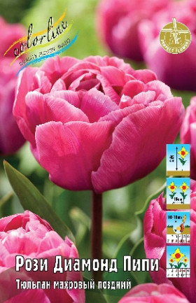 Рози Диамонд Пипи 10/11 (махр.поздн) 7шт