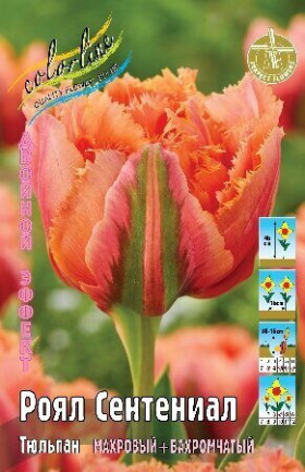 Роял Сентениал 11/12 (2й эффект) 7шт