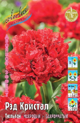 Рэд Кристал 11/12 (2й эффект) 7шт