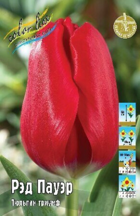 Рэд Пауэр 11/12 (триумф) 7шт