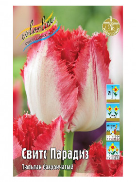 Свитс Парадиз 11/12 (бахр.) 7шт