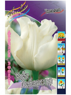 Уайт Либерстар 11/12 (2й эффект) 5шт