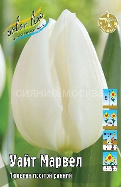 Уайт Марвел 11/12 (пр.ранн.) 7шт