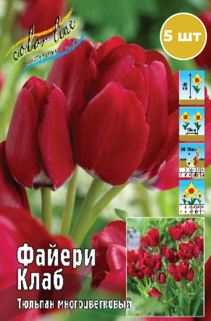 Файери Клаб 11/12 (мнгцв.) 7шт