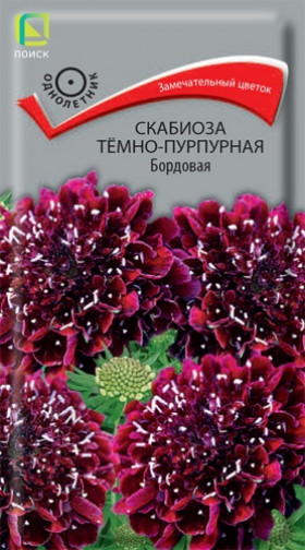 Темно-пурпурная бордовая Ц(Поиск)