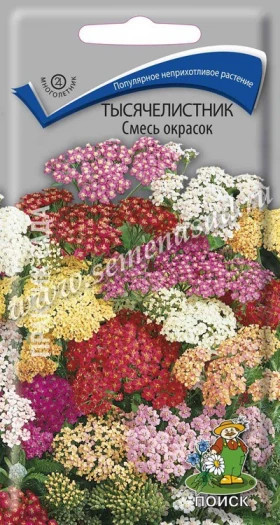 Смесь окрасок Ц(Поиск) тысячелистник