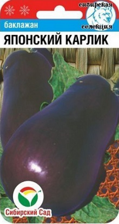 Японский карлик СС