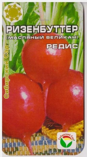 Ризенбуттер СС