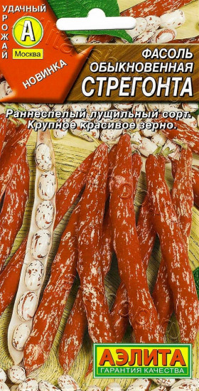 Стрегонта обыкновенная Ц(А)