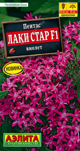 Лаки стар виолет Ц(А)