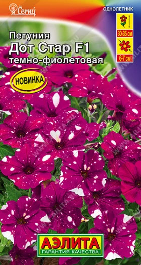 Дот Стар темно фиолетовая Ц(А)