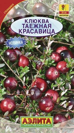 клюква Таежная красавица крупн. Ц(А)