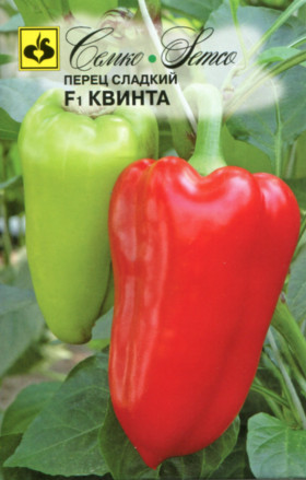 Квинта Семко Новинка