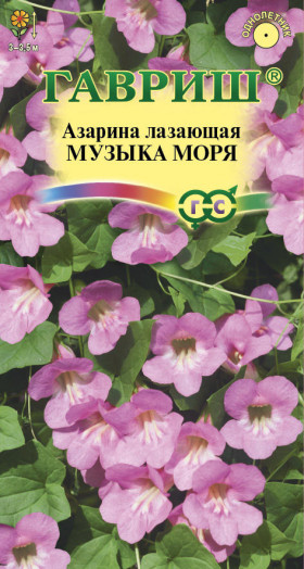 Музыка моря Ц(Г)