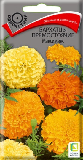 Максимикс прямостоячие Ц(Поиск)