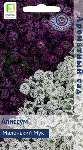 Маленький Мук Ц(Поиск)