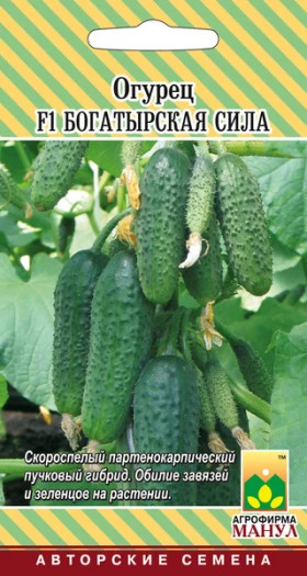 Богатырская Сила Манул