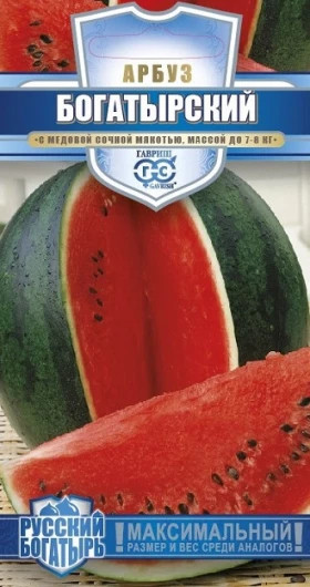 Богатырский Ц(Г)