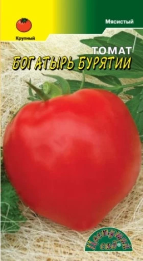 Богатырь Бурятии/Цветущий Сад