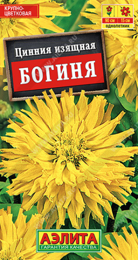 Богиня кактусов.  Ц(А)