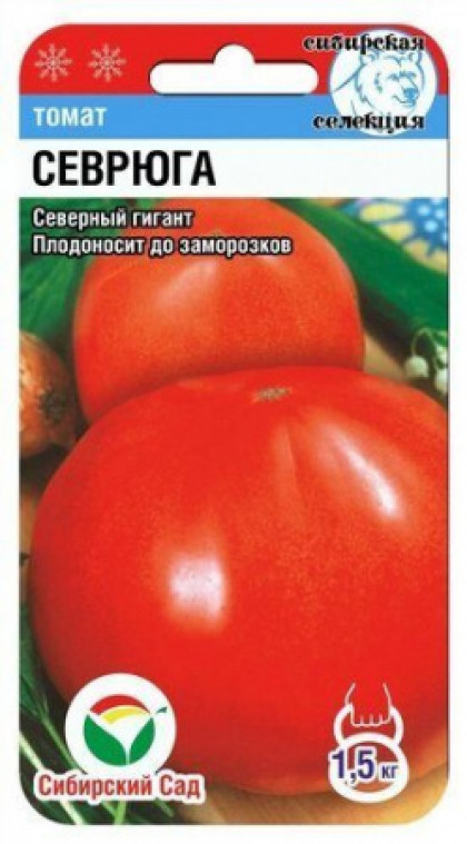 Севрюга СС