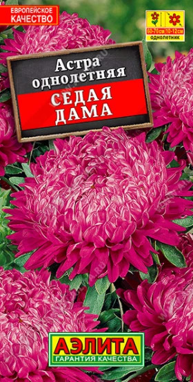 Седая Дама Ц(А)