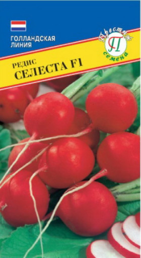 Селеста Ц(П)