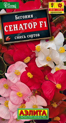 Сенатор вечноцветущая смесь Ц(А)