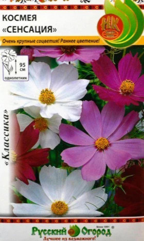 Сенсация смесь Ц(Н)