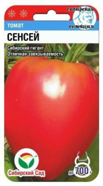 Сенсей СС
