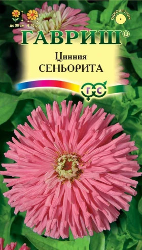 Сеньорита Ц(Г)