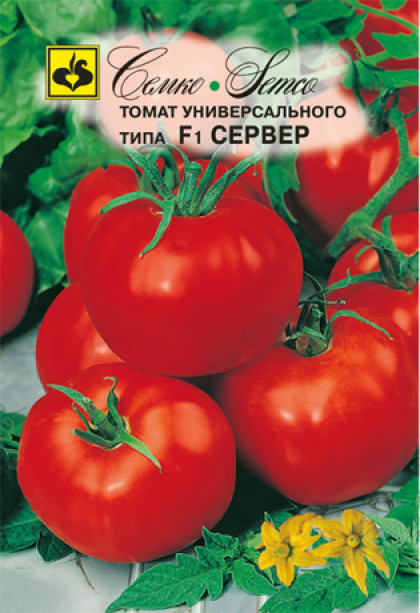 Сервер Семко