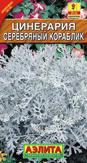 Серебряный кораблик Ц(А)