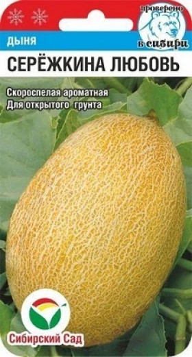 Сережкина любовь СС