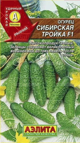 Сибирская тройка Ц(А)