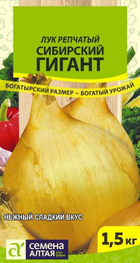 Сибирский Гигант Ц(Алт) лук