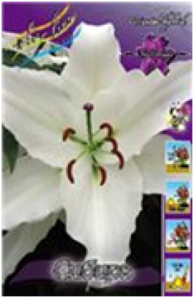 Сибирь 12/14 вост 5шт