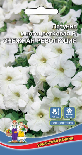 Снежная революция Ц(УД)